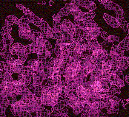 large density map